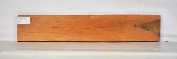 CHAKVIG1119_2