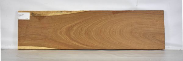 KIAAT1222_1