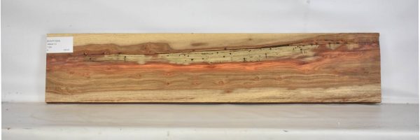 KIAAT1224_1