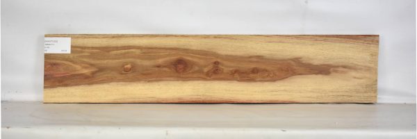 KIAAT1225_1