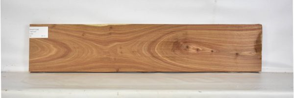 KIAAT1228_1