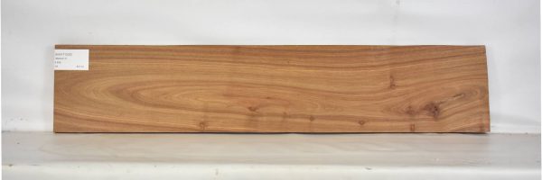KIAAT1229_1
