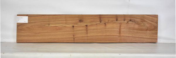 KIAAT1229_2