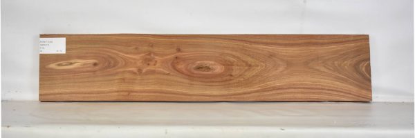 KIAAT1230_2