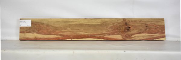 KIAAT1236_1