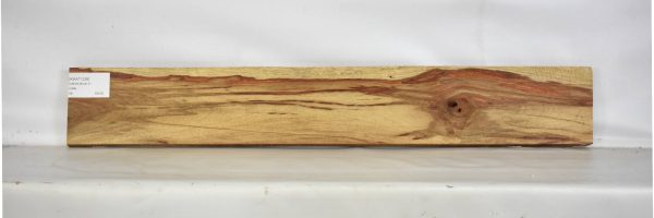 KIAAT1236_2