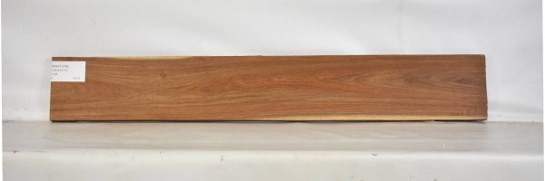 KIAAT1238_2