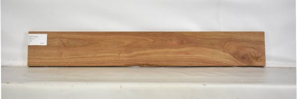 KIAAT1244_2