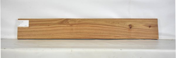 KIAAT1245_2