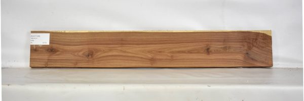 KIAAT1246_2