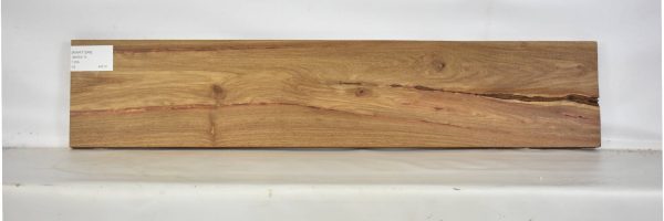 KIAAT1249_2