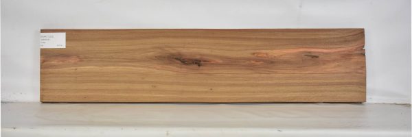 KIAAT1253_2