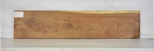 KIAAT1254_1