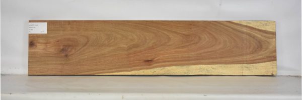 KIAAT1254_2