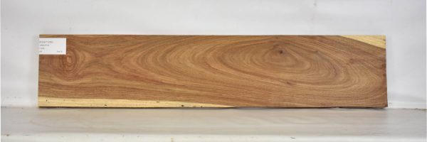 KIAAT1256_2