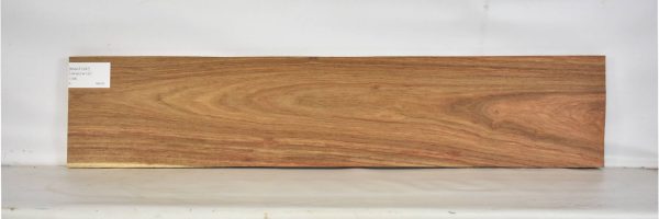 KIAAT1257_2