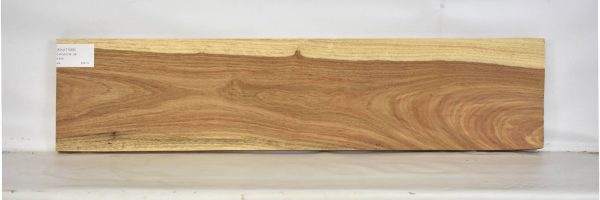 KIAAT1258_2