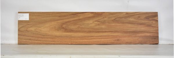 KIAAT1259_1