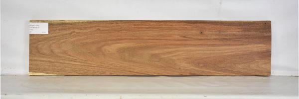 KIAAT1259_2