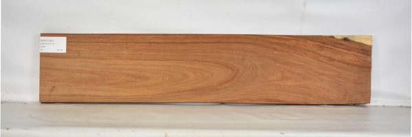 KIAAT1261_2