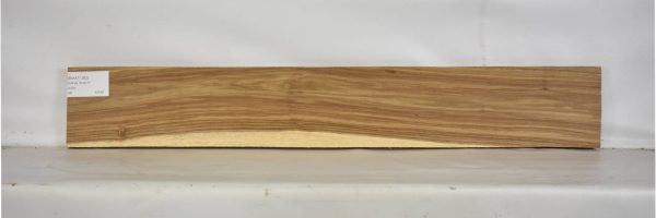 KIAAT1262_1