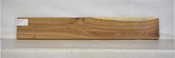 KIAAT1263_1