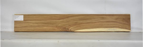 KIAAT1263_2