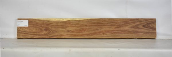 KIAAT1264_1