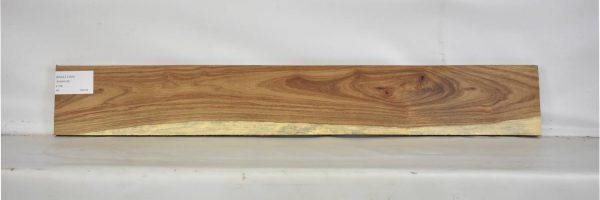 KIAAT1265_1