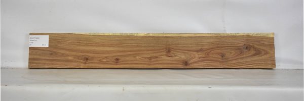 KIAAT1265_2