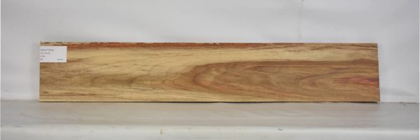 KIAAT1269_1
