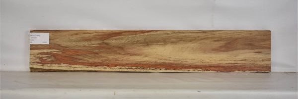 KIAAT1269_2
