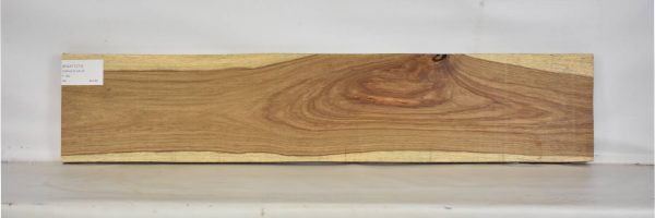 KIAAT1271_1