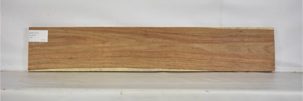 KIAAT1277_2