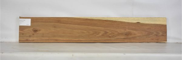 KIAAT1279_1