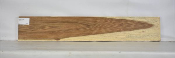 KIAAT1279_2