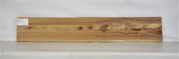 KIAAT1281_1