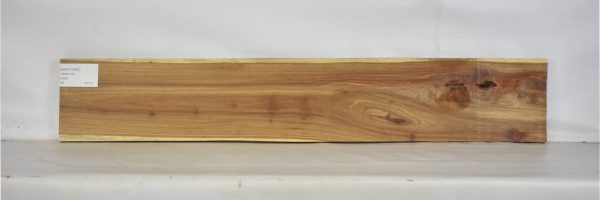 KIAAT1281_2