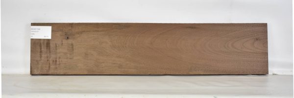 NOG1194_1