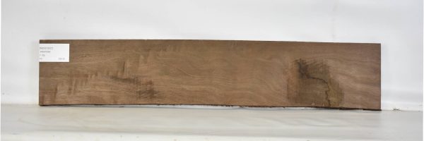 NOG1200_2