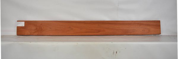 PADAUK1558_1