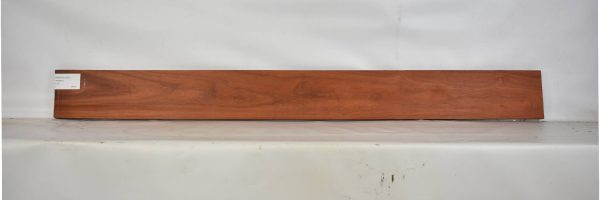 PADAUK1561_2