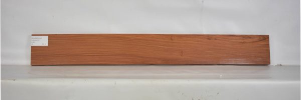PAUFER1133_2