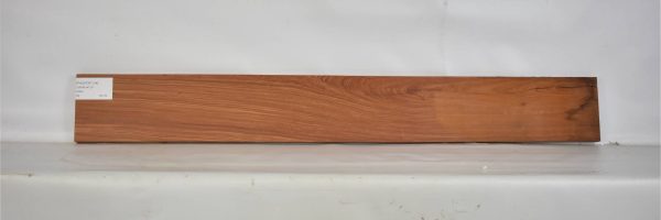 PAUFER1134_1