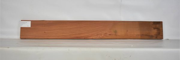 PAUFER1134_2