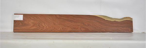 PAUFER1136_2