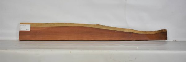 PAUFER1137_2