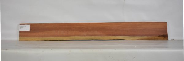 PAUFER1138_2