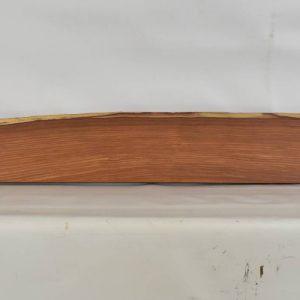 PAUFER1139_1