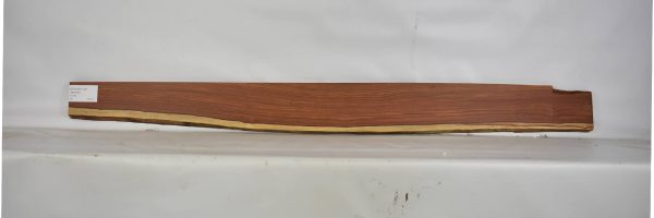 PAUFER1139_2